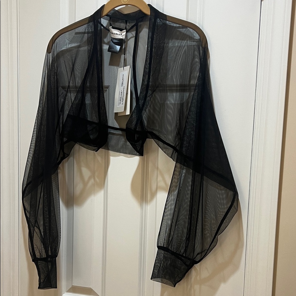 Sheer Black Mesh Top